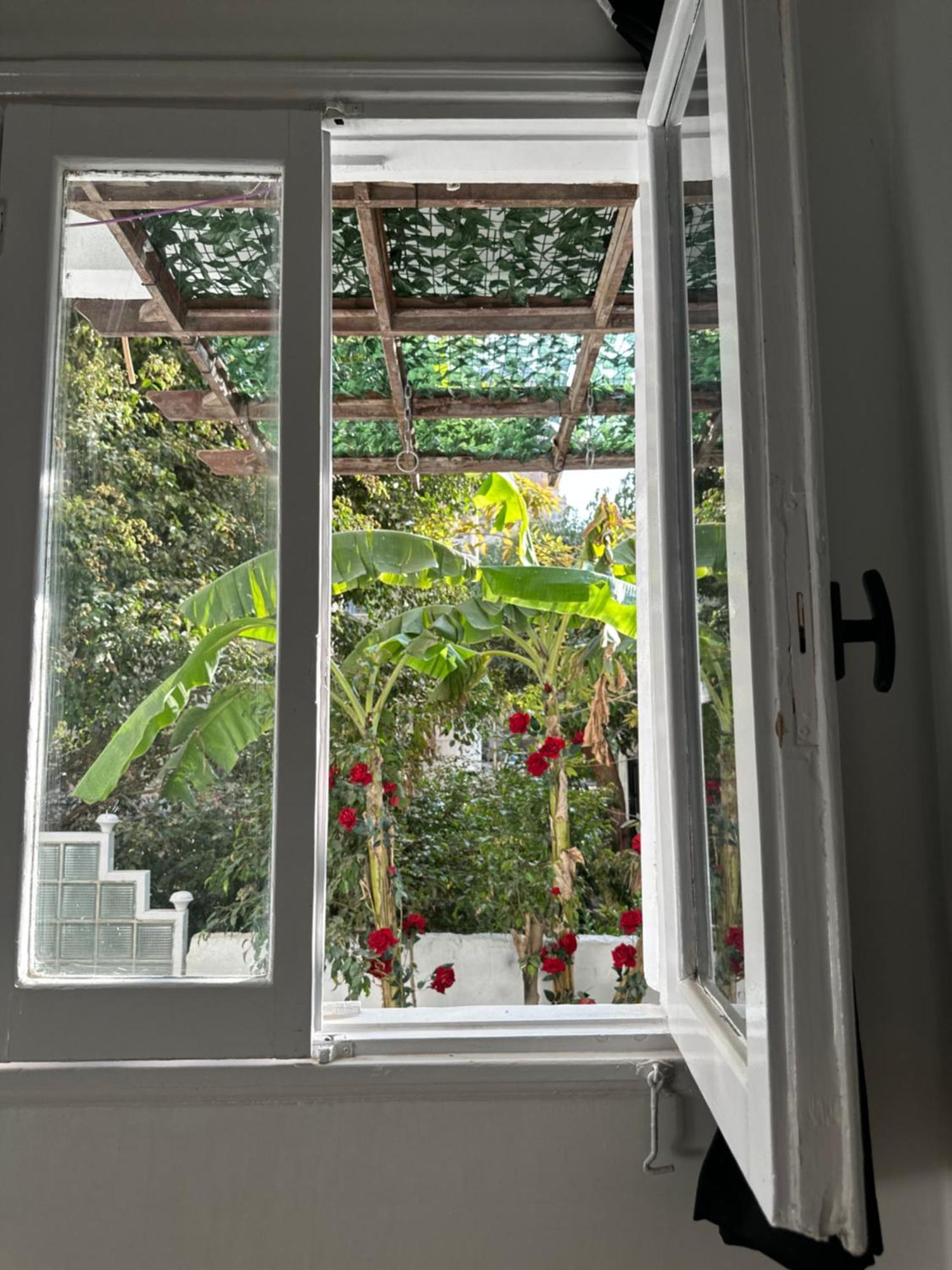 Modern 1-Bedroom Apartment In Zamalek Visits Allowed 카이로 외부 사진
