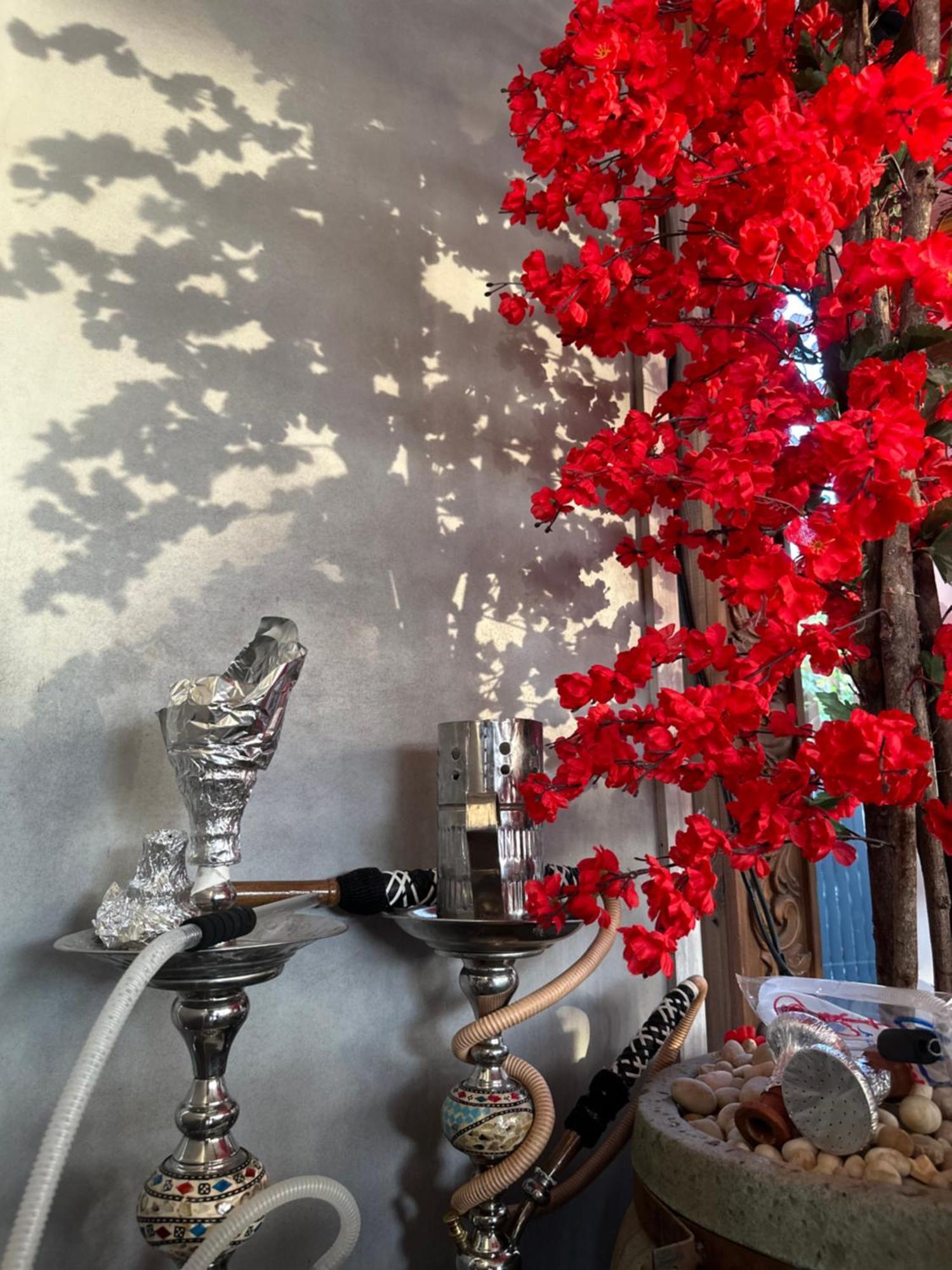 Modern 1-Bedroom Apartment In Zamalek Visits Allowed 카이로 외부 사진